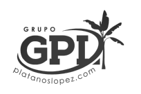 Grupo GPI
